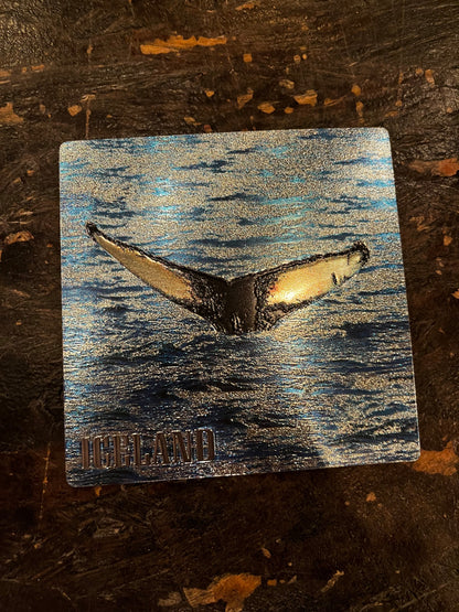 Coasters (single) - Icelandic Nature - Minjagripir.is