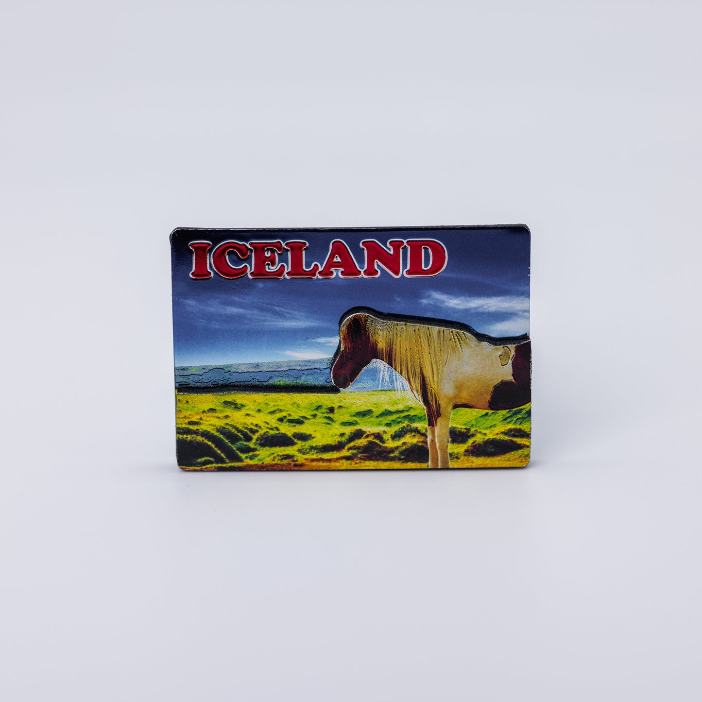 Glans segull - Hestur