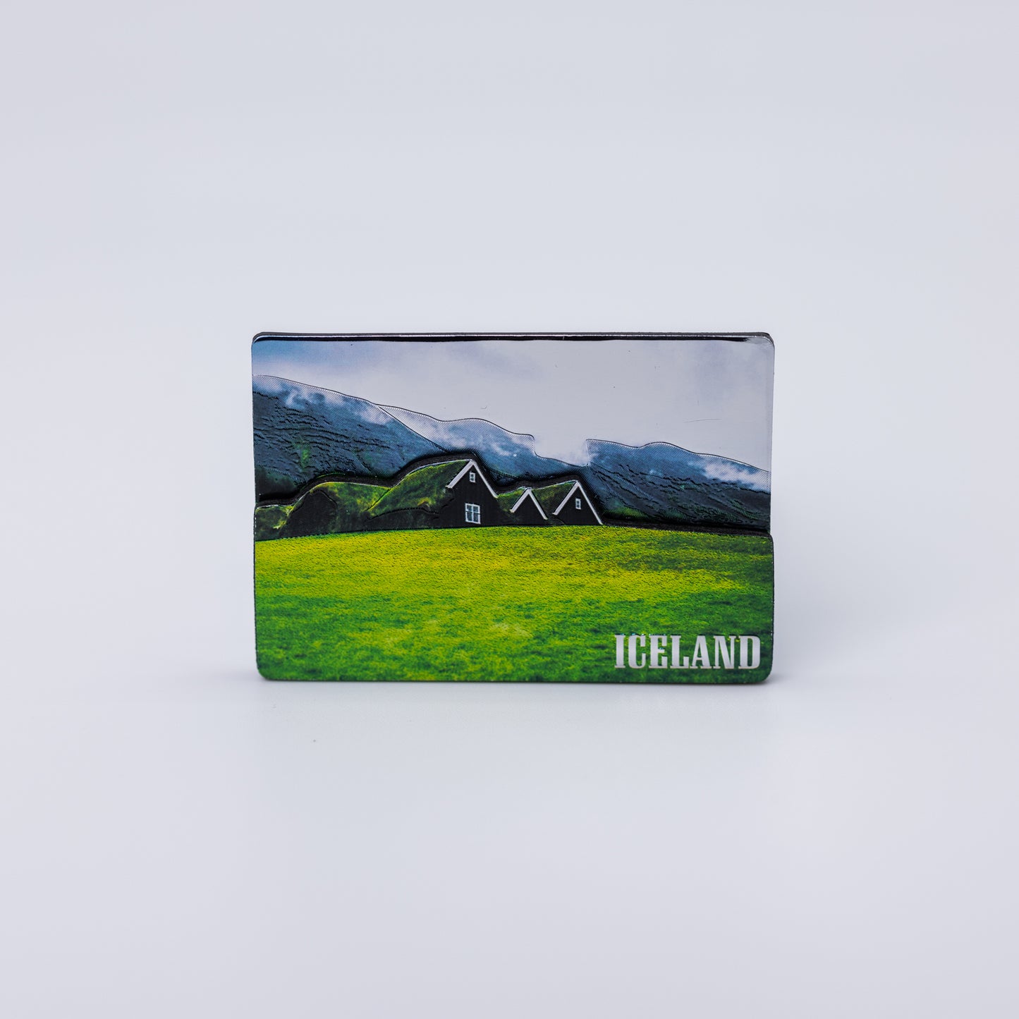 Glans segull - Torfhús