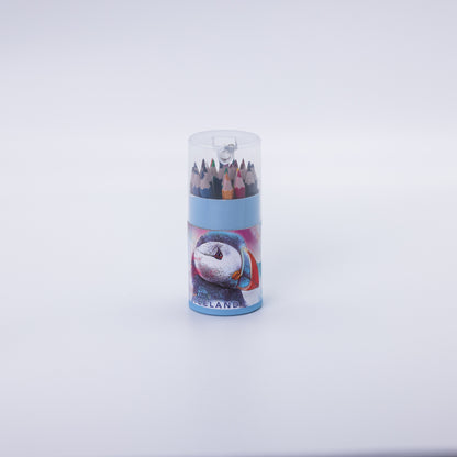 Litir - litlir 24stk
