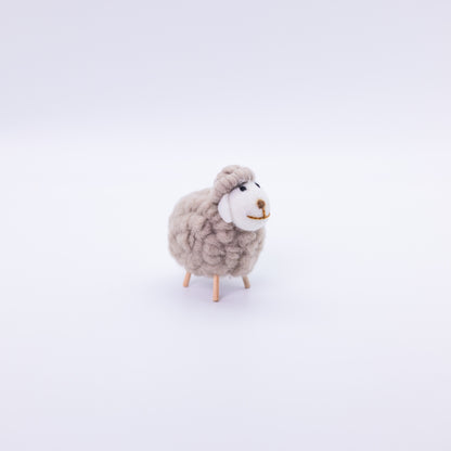 Cute Colorful Sheep
